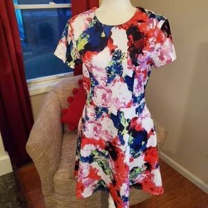 Milly Rosabella floral mini skater dress Size 10